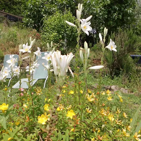 Campomaggio Frühstückspension 3*