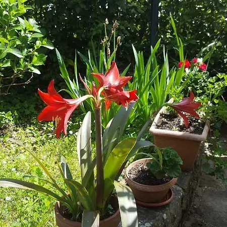 Campomaggio