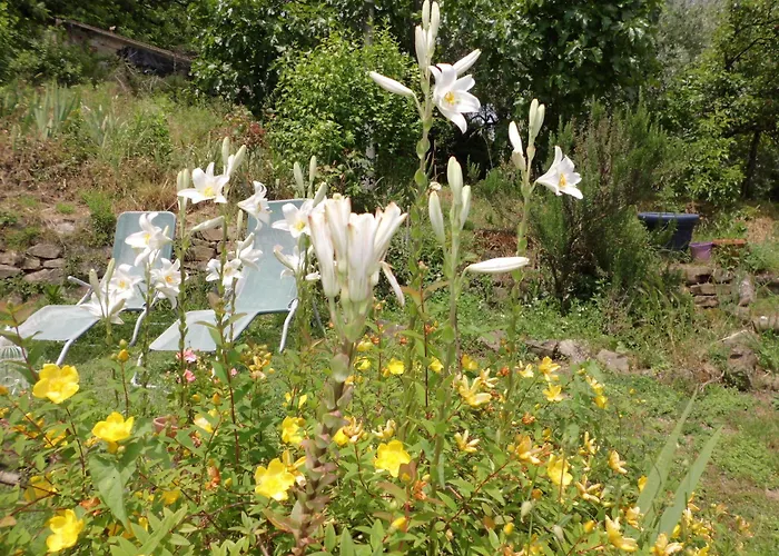 Campomaggio Bed and Breakfast 3*